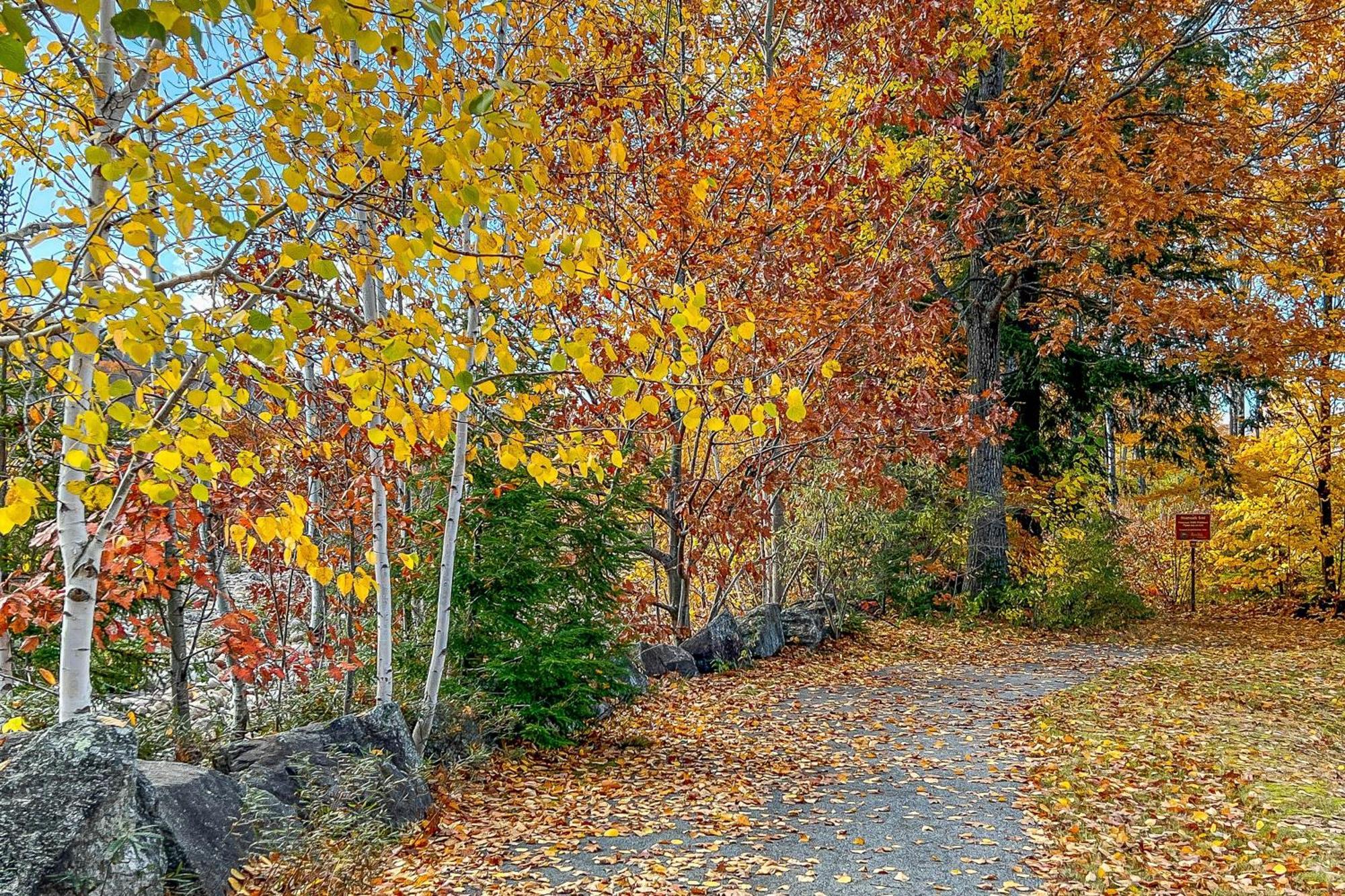 Autumn Colors Condo At Rivergreen Lincoln Eksteriør bilde